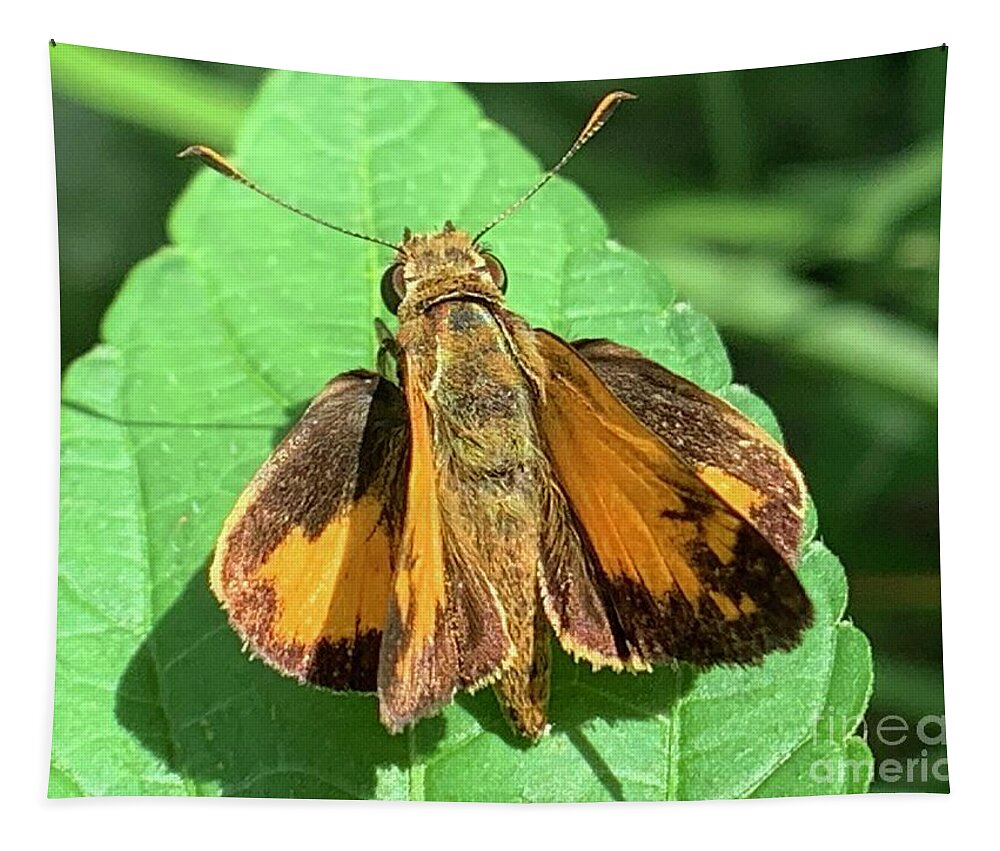 Skipper Tapestry featuring the photograph Colorful Skipper by Catherine Wilson