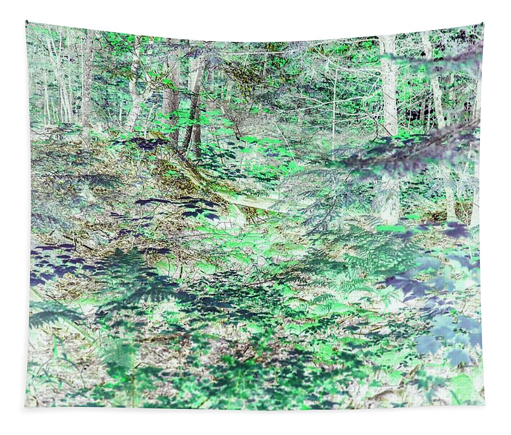 Trees Tapestry featuring the photograph Shades of Green Woodlands by Missy Joy