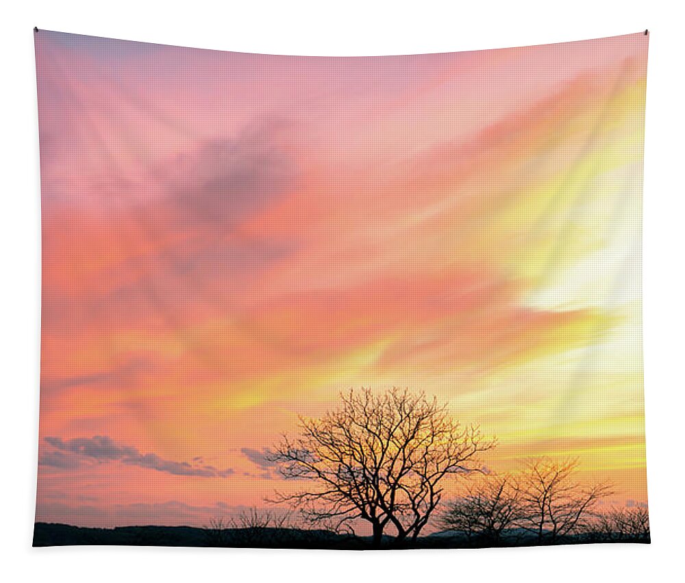 Color Tapestry featuring the photograph Colors over the Preserve by Jason Fink