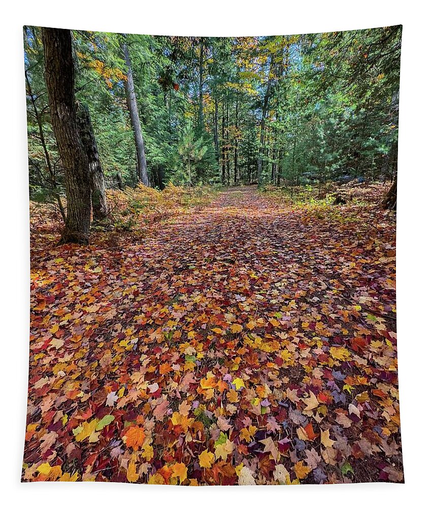 Tahquamenon Falls Tapestry featuring the photograph Colors up the Driveway IMG_5873 by Michael Thomas
