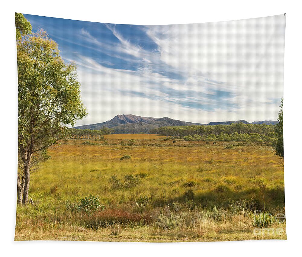 Tasmania Tapestry featuring the photograph Colours of Tasmania, Australia by Elaine Teague