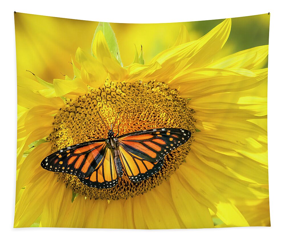Butterfly Tapestry featuring the photograph Comfort by Ray Silva