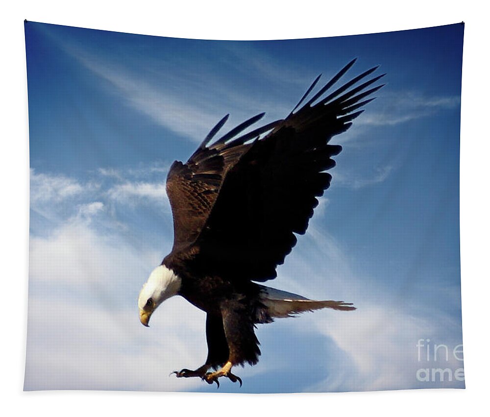 Eagle Tapestry featuring the photograph Coming in Hot by Bob Hislop