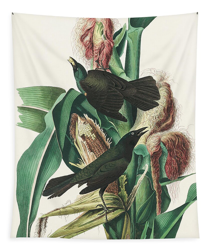 Common Crow Tapestry featuring the mixed media Common Crow. John James Audubon by World Art Collective