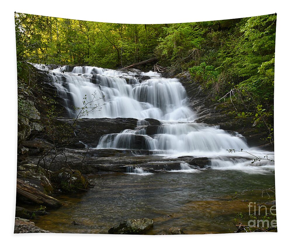 Conasauga Falls Tapestry featuring the photograph Conasauga Waterfall 1 by Phil Perkins