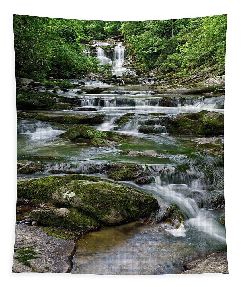 Conasauga Falls Tapestry featuring the photograph Conasauga Waterfall 18 by Phil Perkins