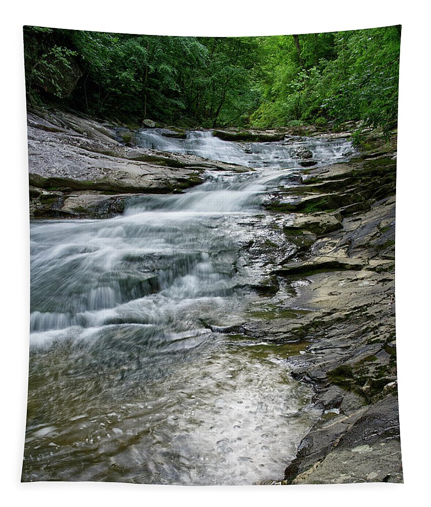Conasauga Falls Tapestry featuring the photograph Conasauga Waterfall 20 by Phil Perkins