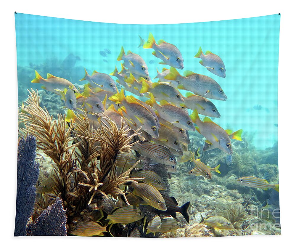 Underwater Tapestry featuring the photograph Conch Pillars 3 by Daryl Duda