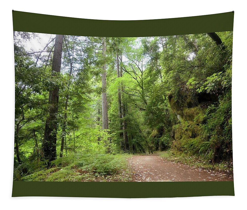 Concrete Pipe Fireroad Tapestry featuring the photograph Concrete Pipe Fireroad by John Parulis