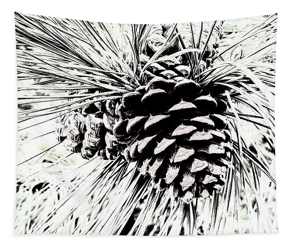 Pine Cones Tapestry featuring the photograph Cone Cluster by Jimmy Chuck Smith
