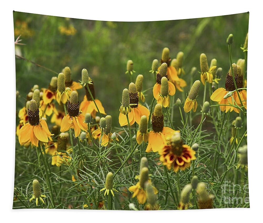 Cone Flowers Tapestry featuring the photograph Cone Flowers by Joan Bertucci