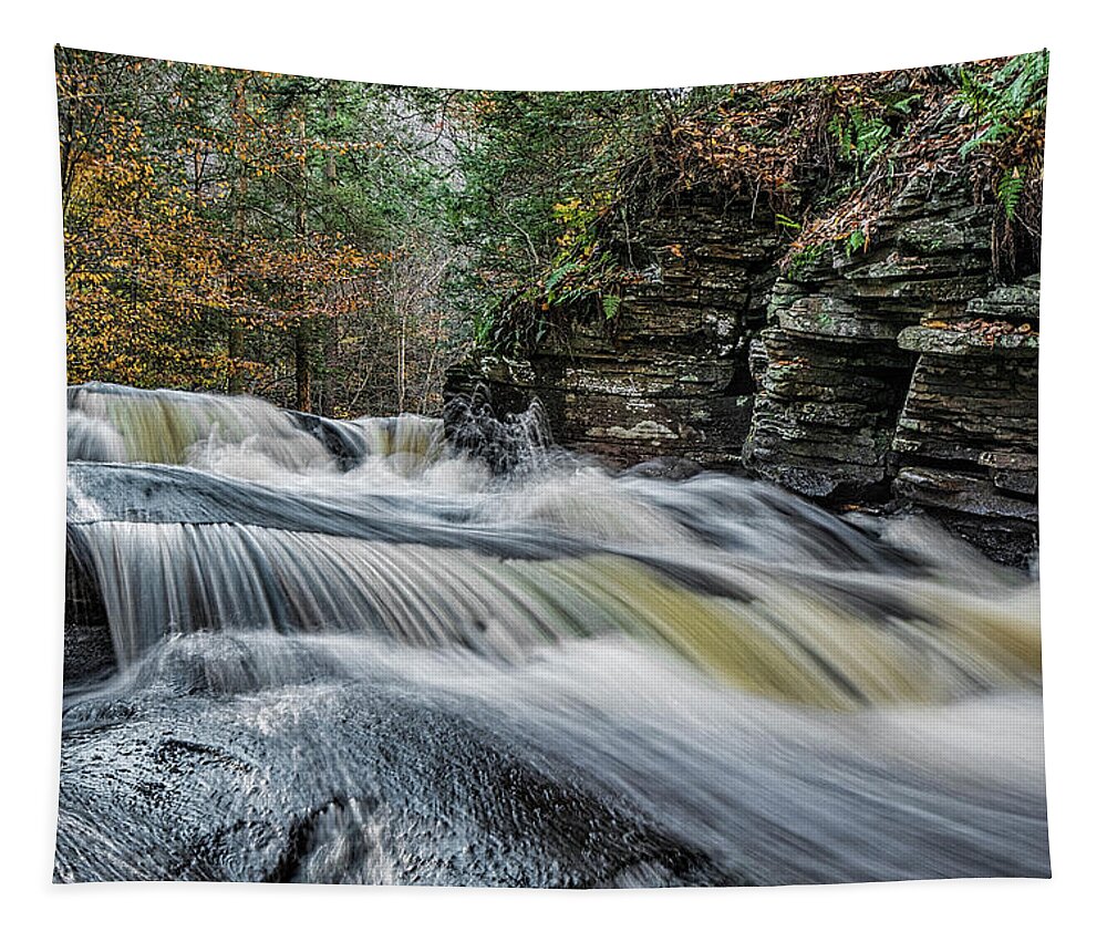 Waterfall Tapestry featuring the photograph Conestoga Falls by Erika Fawcett