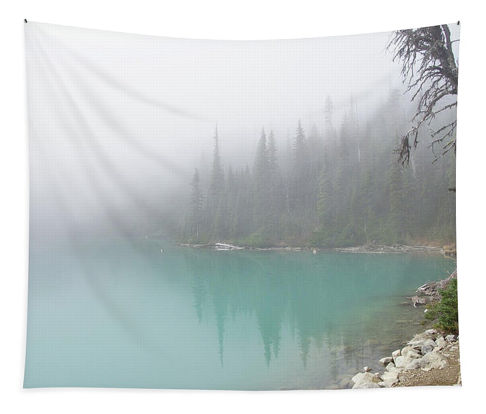 British Columbia Tapestry featuring the photograph Conifer snag and morning mist by Steve Estvanik