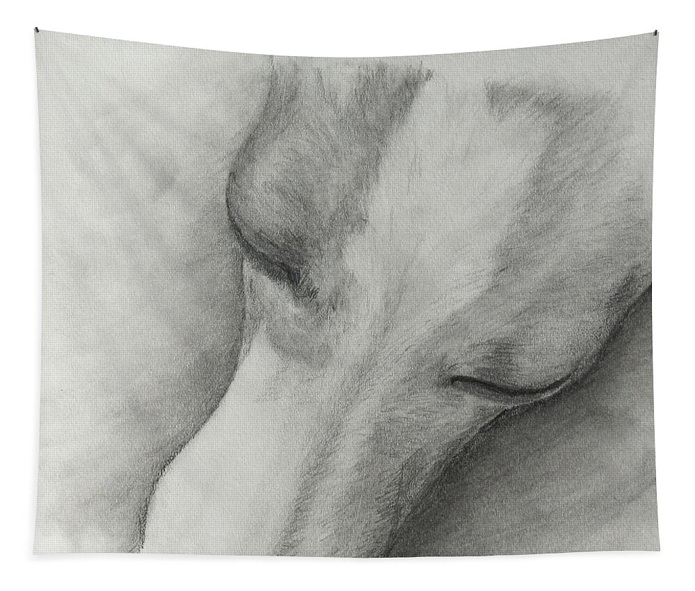 Italian Greyhound Tapestry featuring the drawing Comfy by Heather E Harman