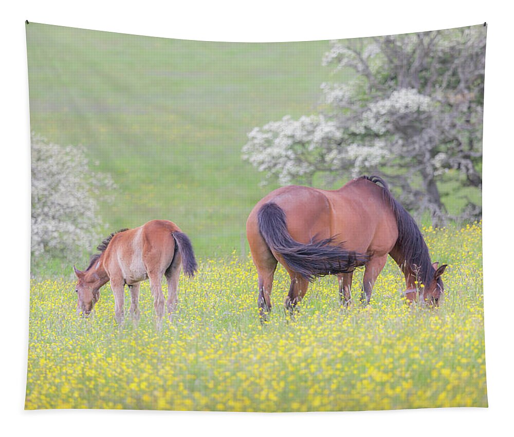 Horses Tapestry featuring the photograph Contentment - Mare and Foal in a meadow by Anita Nicholson