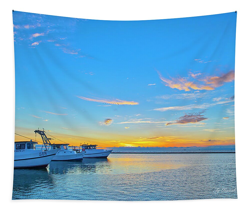 Sunrise Tapestry featuring the photograph Cool Morning by Ty Husak