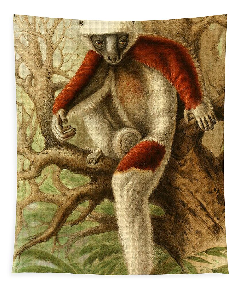 Zoological Tapestry featuring the mixed media Coquerel's sifaka by World Art Collective