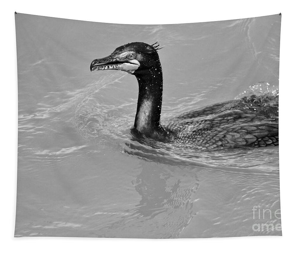 Cormorant Tapestry featuring the photograph Cormorant In The Susquehanna River Black And White by Adam Jewell