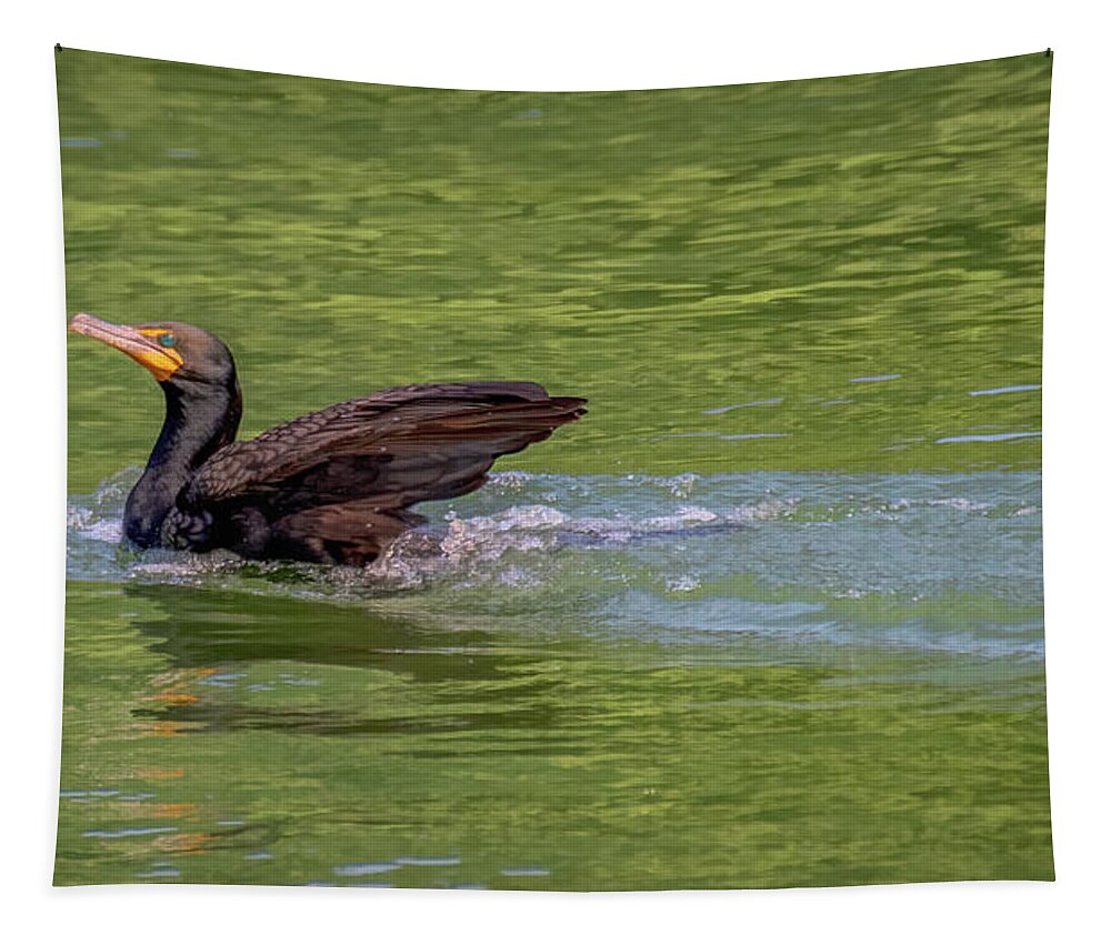 Cormorant Tapestry featuring the photograph Cormorant Strikes a Pose by Marcy Wielfaert