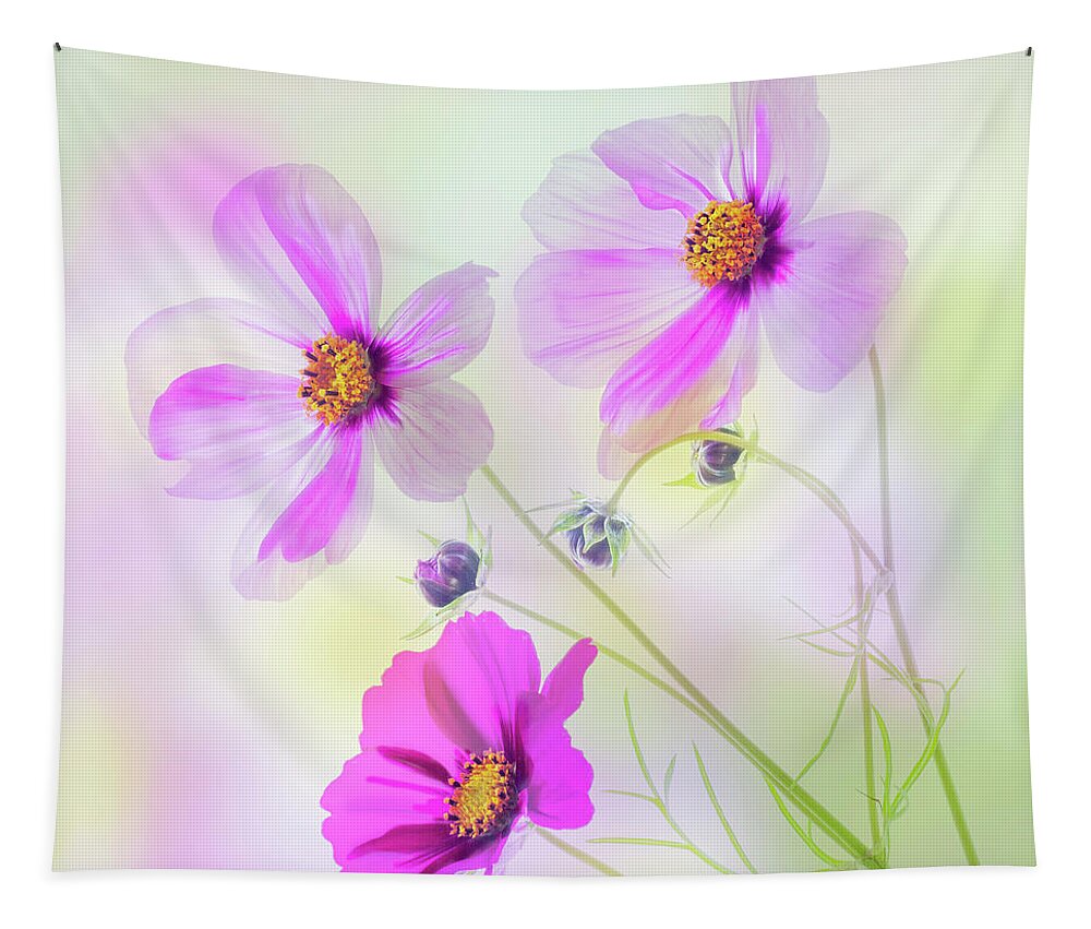 Cosmos Tapestry featuring the photograph Cosmos Dance by Diane Fifield