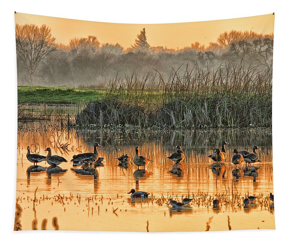 Wildlife Tapestry featuring the photograph Cosumnes River Preserve 7010 by Tom Kelly