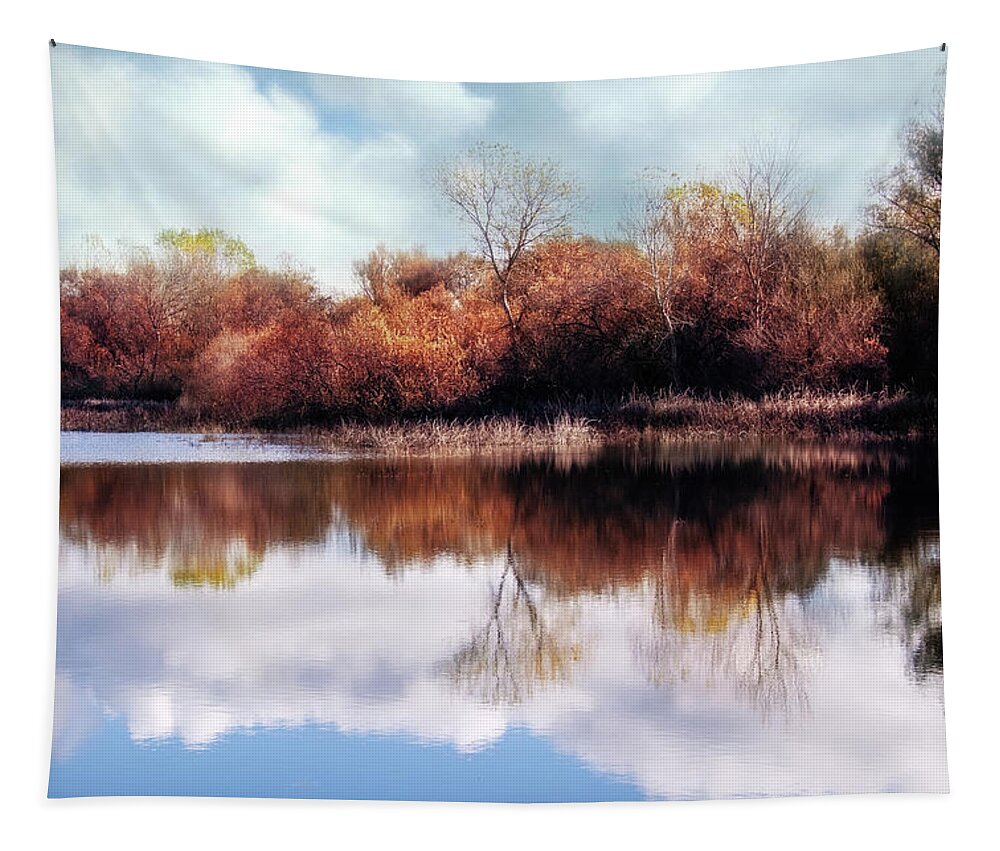 Photography Tapestry featuring the digital art Cosumnes River Trail by Terry Davis
