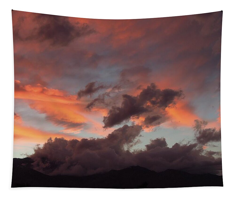 Landscape Tapestry featuring the photograph Cotton Candy Sky, VIII by Leslie Porter