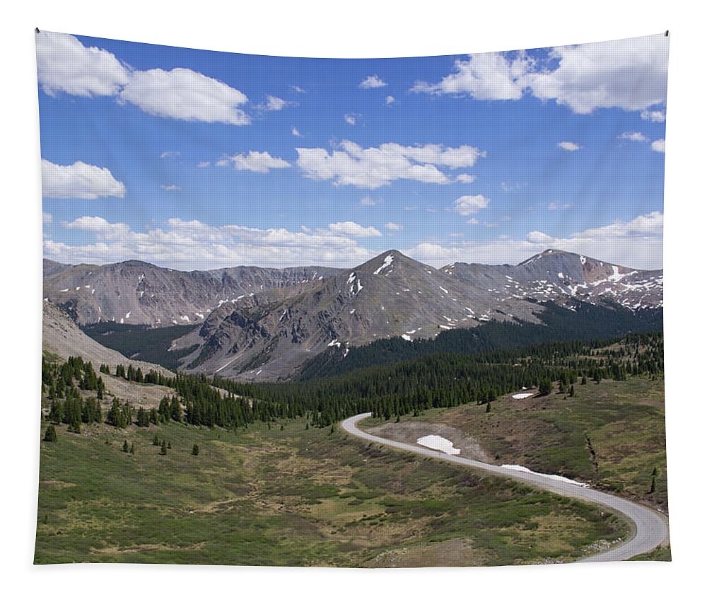 Colorado Tapestry featuring the photograph Cottonwood Pass North by Tara Krauss