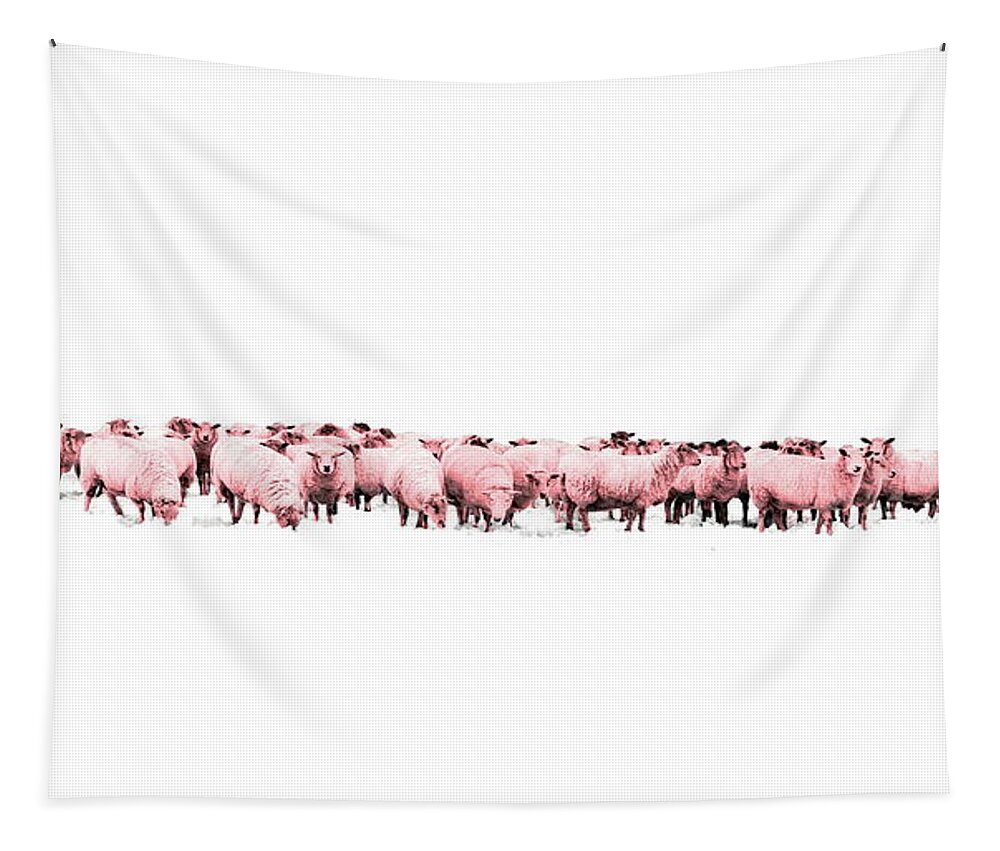 Sheep Tapestry featuring the photograph Counting Pink Sheep for Girls Room by Andrea Kollo