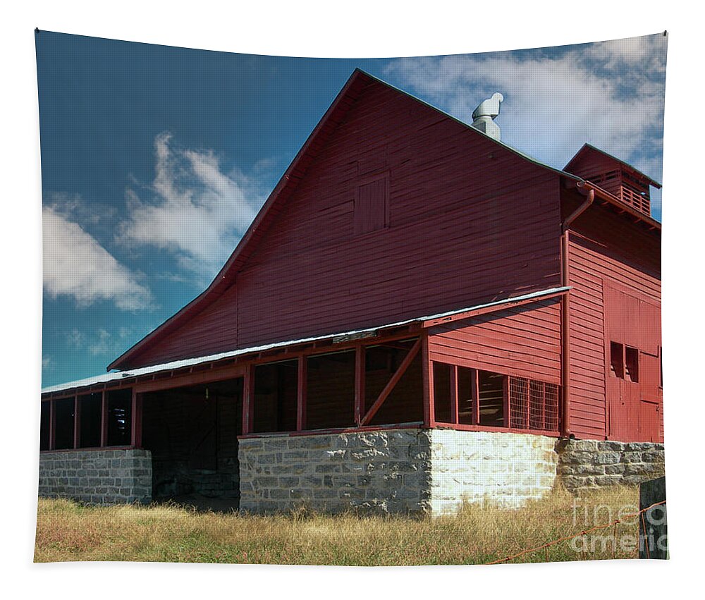 Connemara Farms Goat Dairy Tapestry featuring the photograph Country Barn in North Carolina by Dale Powell