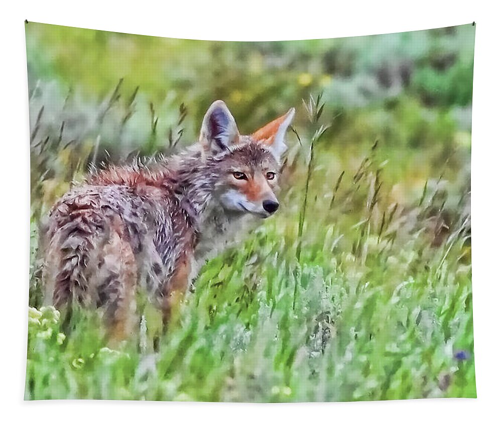 Coyote Tapestry featuring the photograph Coyote by Joe Granita