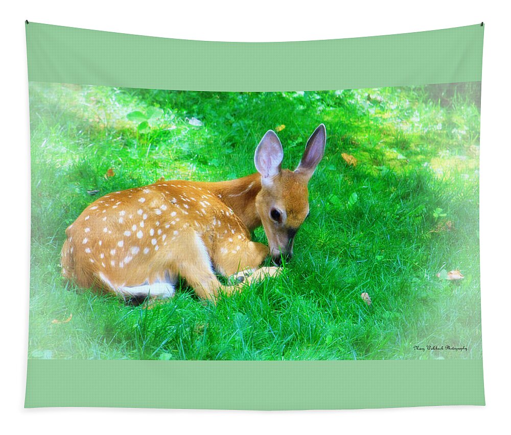 Nature Wildlife Fawn Tapestry featuring the photograph Cozy Fawn by Mary Walchuck