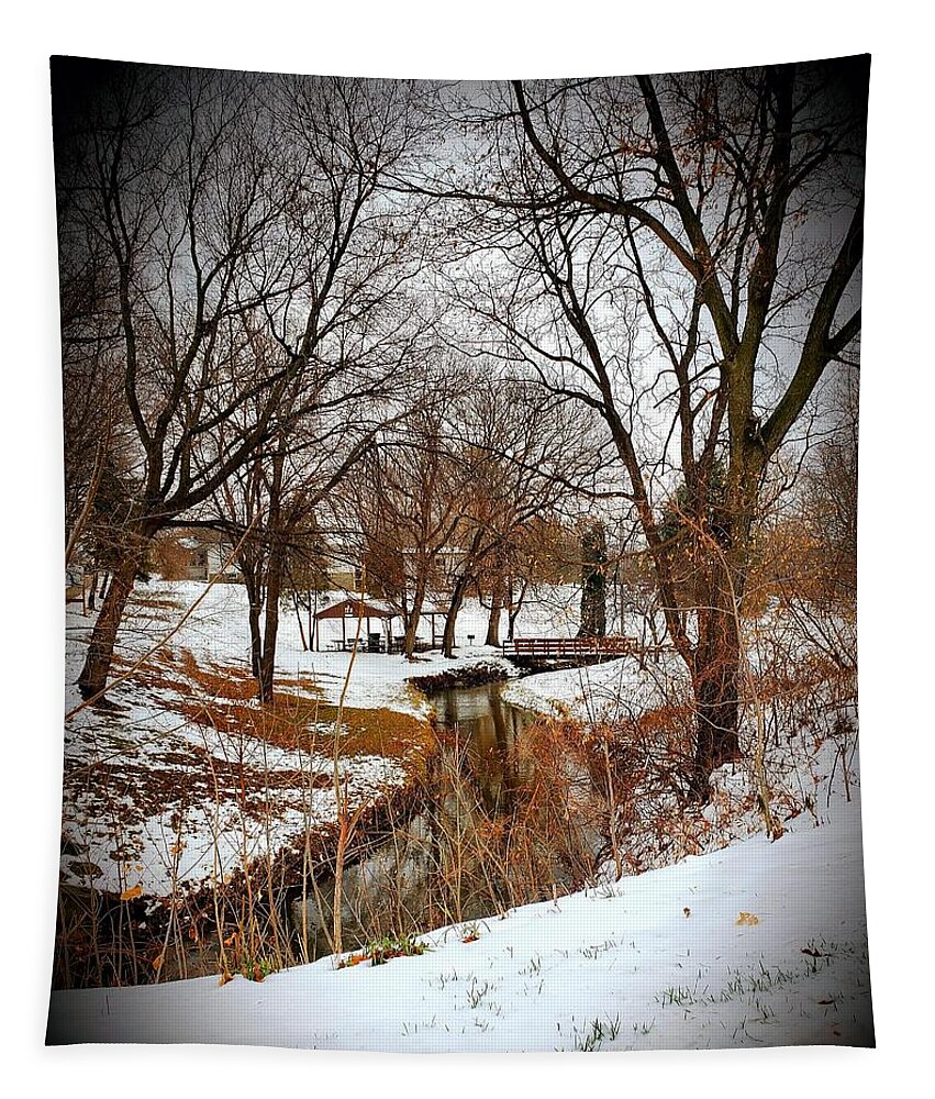 Winter Tapestry featuring the photograph Cozy winter land by Shalane Poole