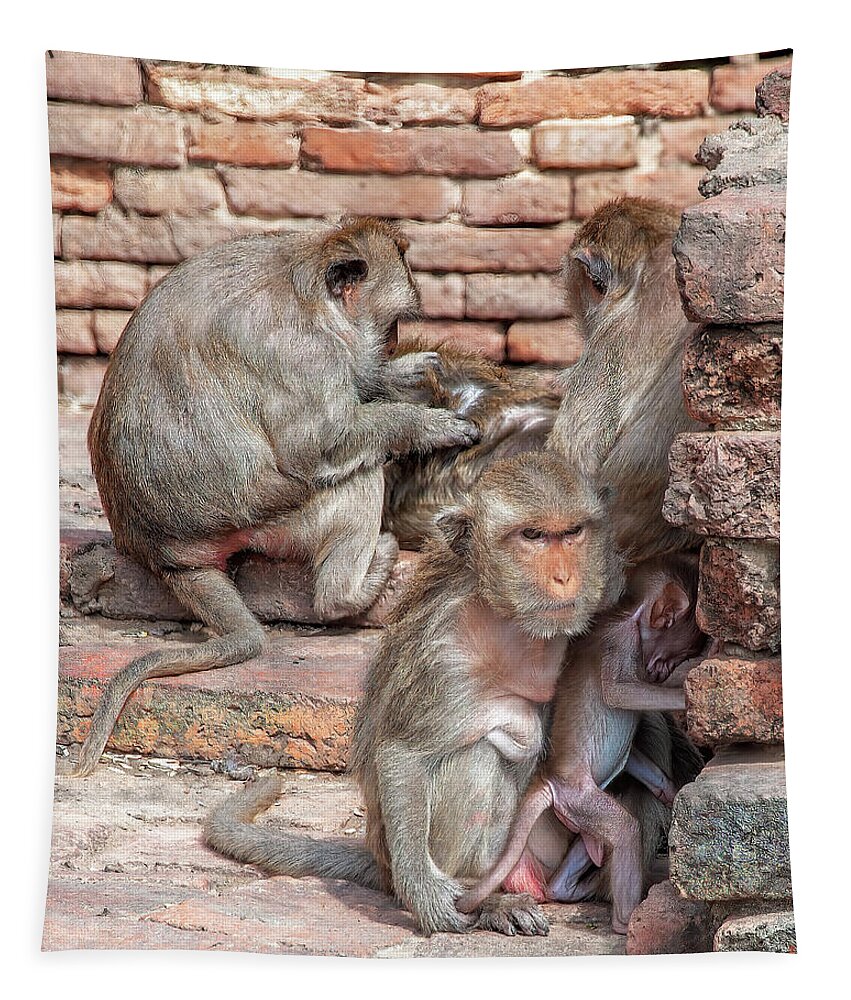 Scenic Tapestry featuring the photograph Crab-eating Macaques Mother and Infant DTHN0283 by Gerry Gantt