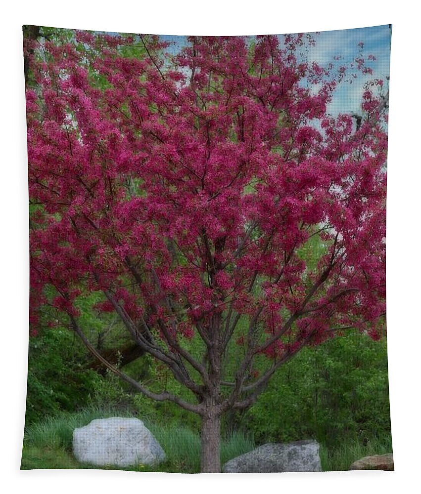 Crabapple Tapestry featuring the photograph Crabapple in Steamboat by Veronica Batterson