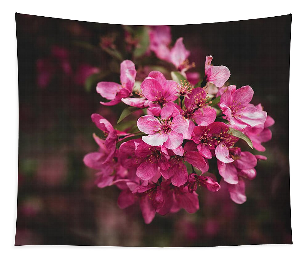Spring Tapestry featuring the photograph Crabapple by Rose Guinther