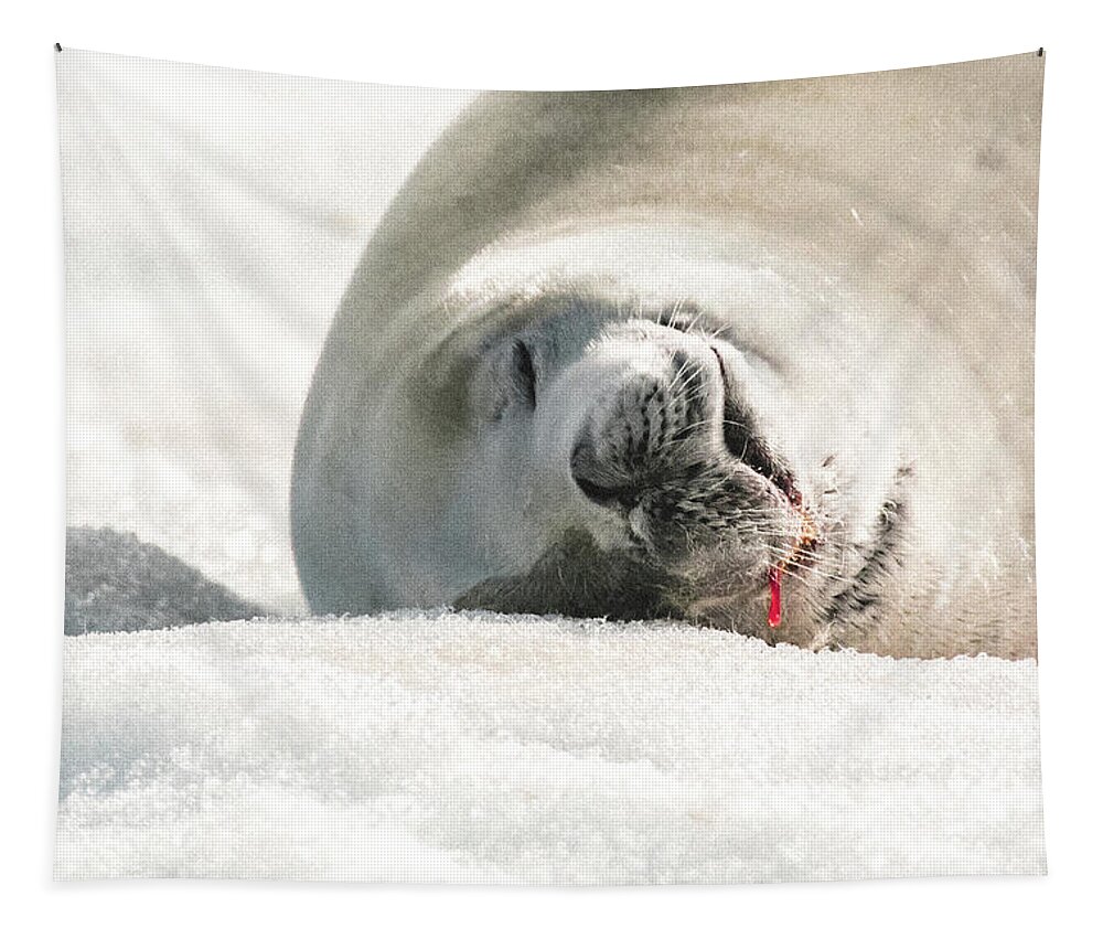 04feb20 Tapestry featuring the photograph Crabeater Seal Frozen Drool Pile Macro by Jeff at JSJ Photography