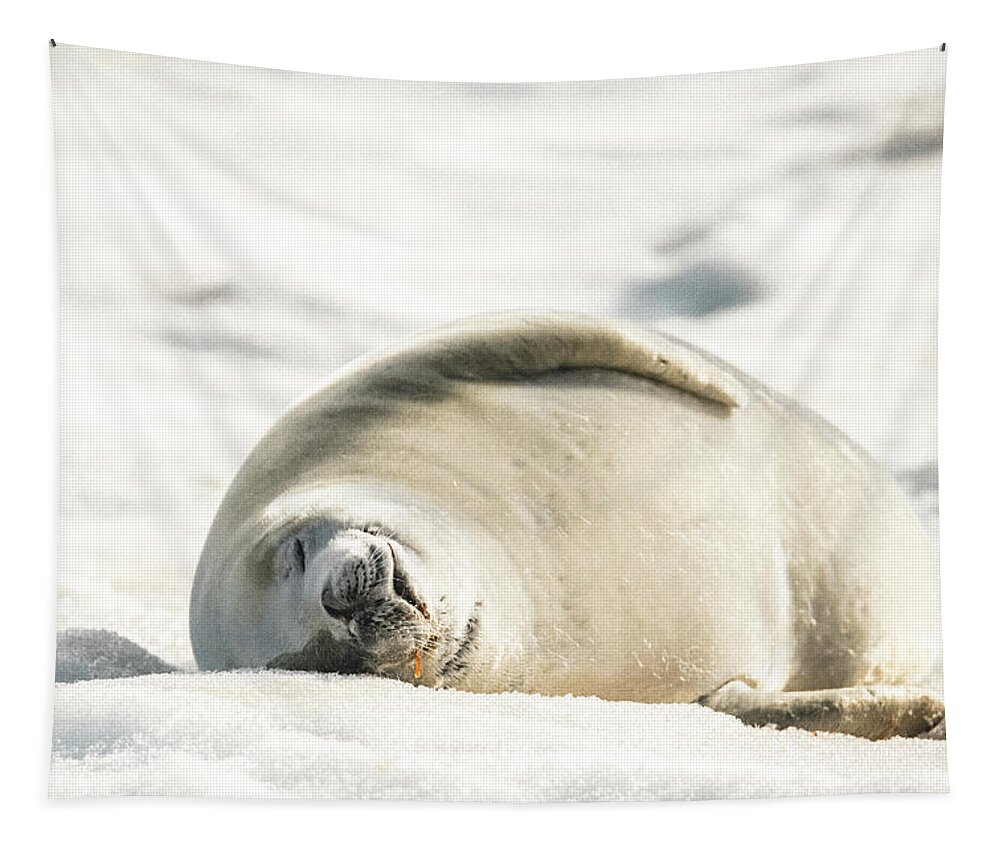 04feb20 Tapestry featuring the photograph Crabeater Seal Frozen Drool Pile Raw Color by Jeff at JSJ Photography