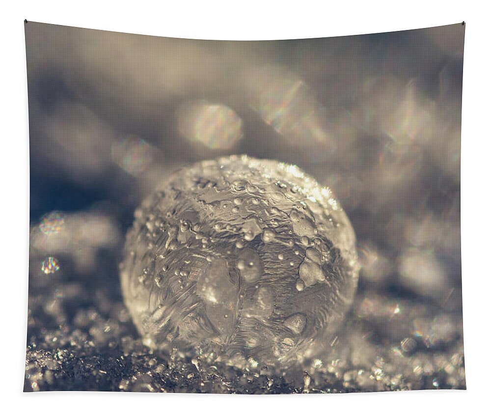 Bubble Tapestry featuring the photograph Crater Frozen Bubble by Crystal Wightman