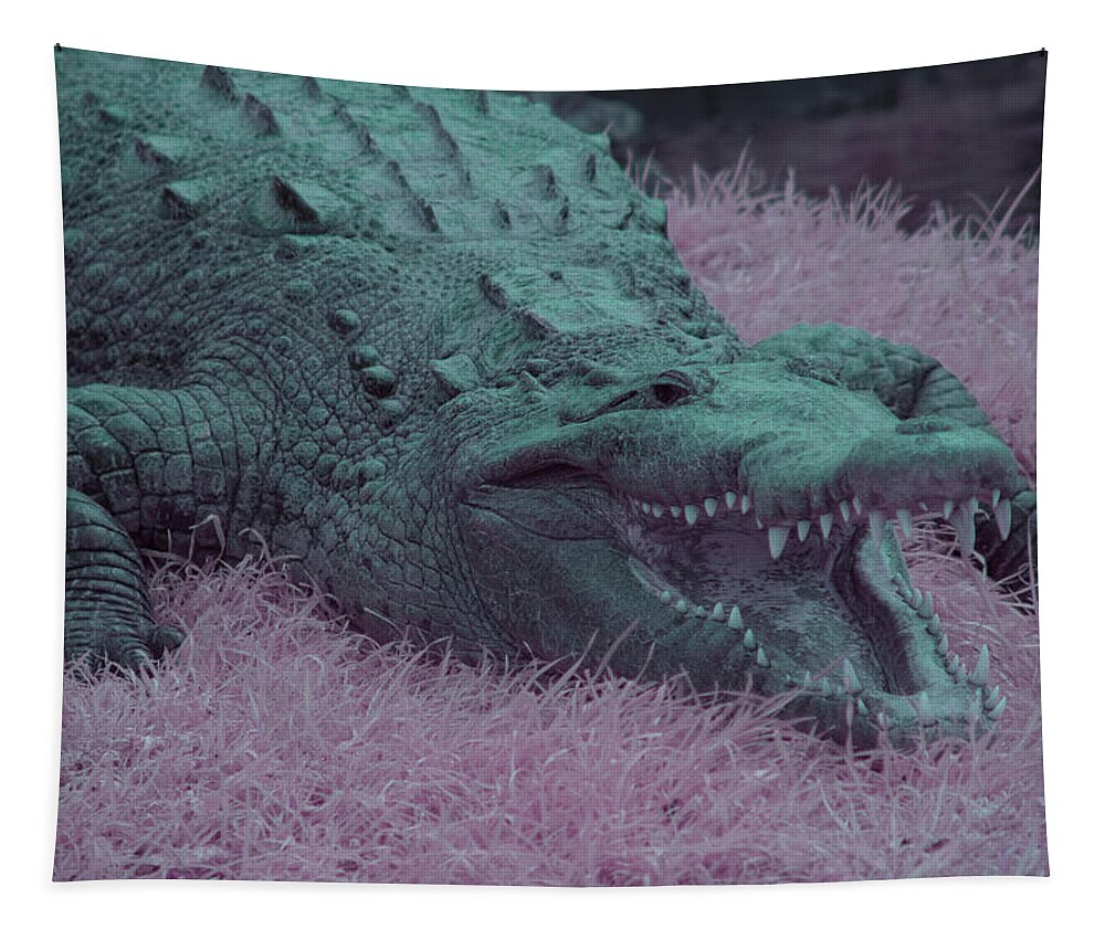 Crocodile Tapestry featuring the photograph Crocodile in Infrared by Carolyn Hutchins