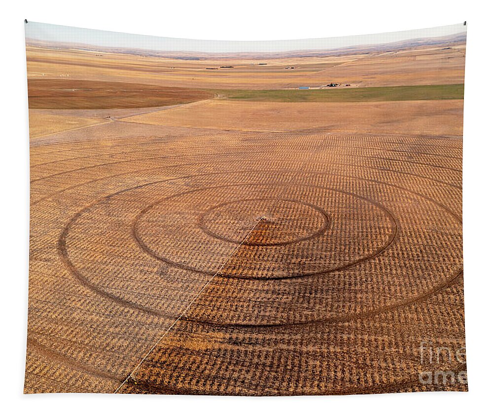 Irrigation Tapestry featuring the photograph Crop Circles by Jim West