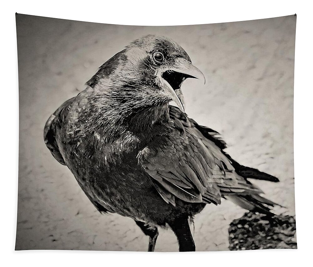 Crow Bird Black White Tapestry featuring the photograph Crow by John Linnemeyer