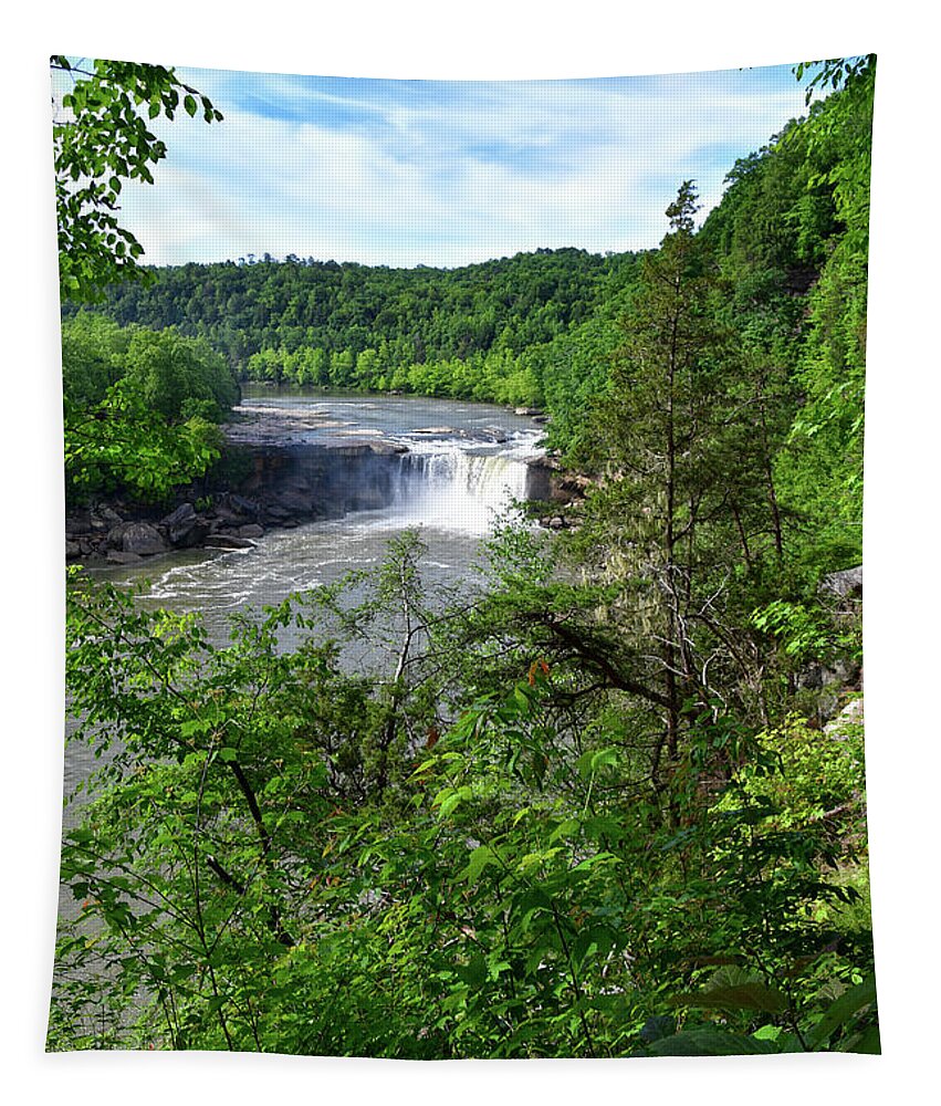 Cumberland Falls Tapestry featuring the photograph Cumberland Falls 35 by Phil Perkins