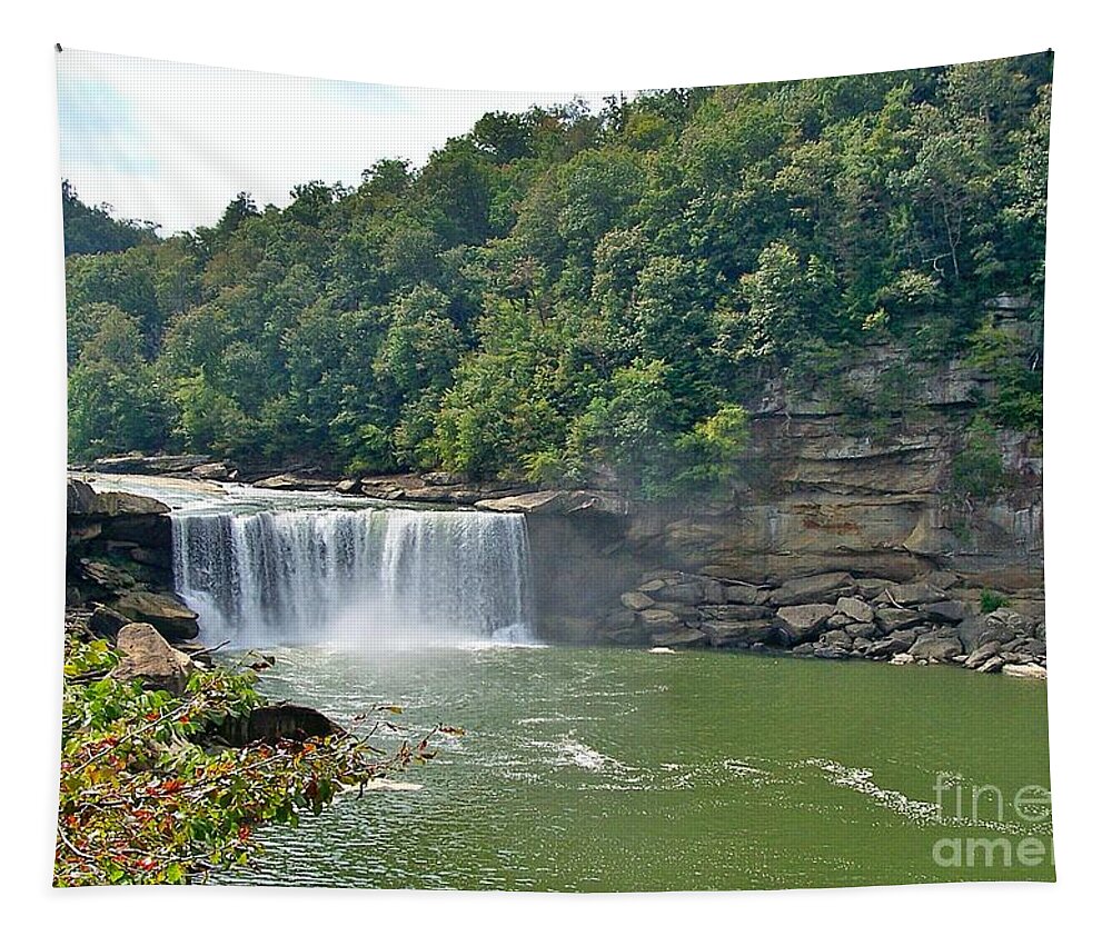 Cumberland Falls Tapestry featuring the photograph Cumberland Falls by Yvonne M Smith