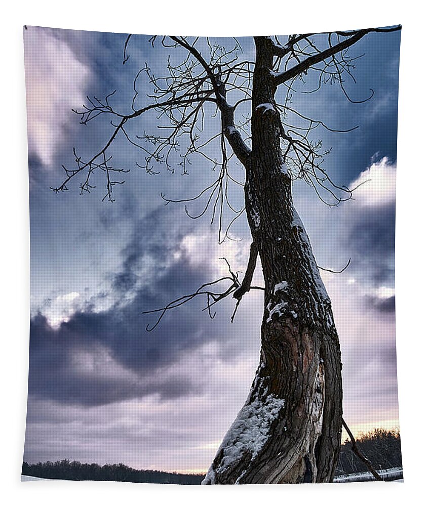 Tree Tapestry featuring the photograph The Solo Curb Tree On The River by Carl Marceau