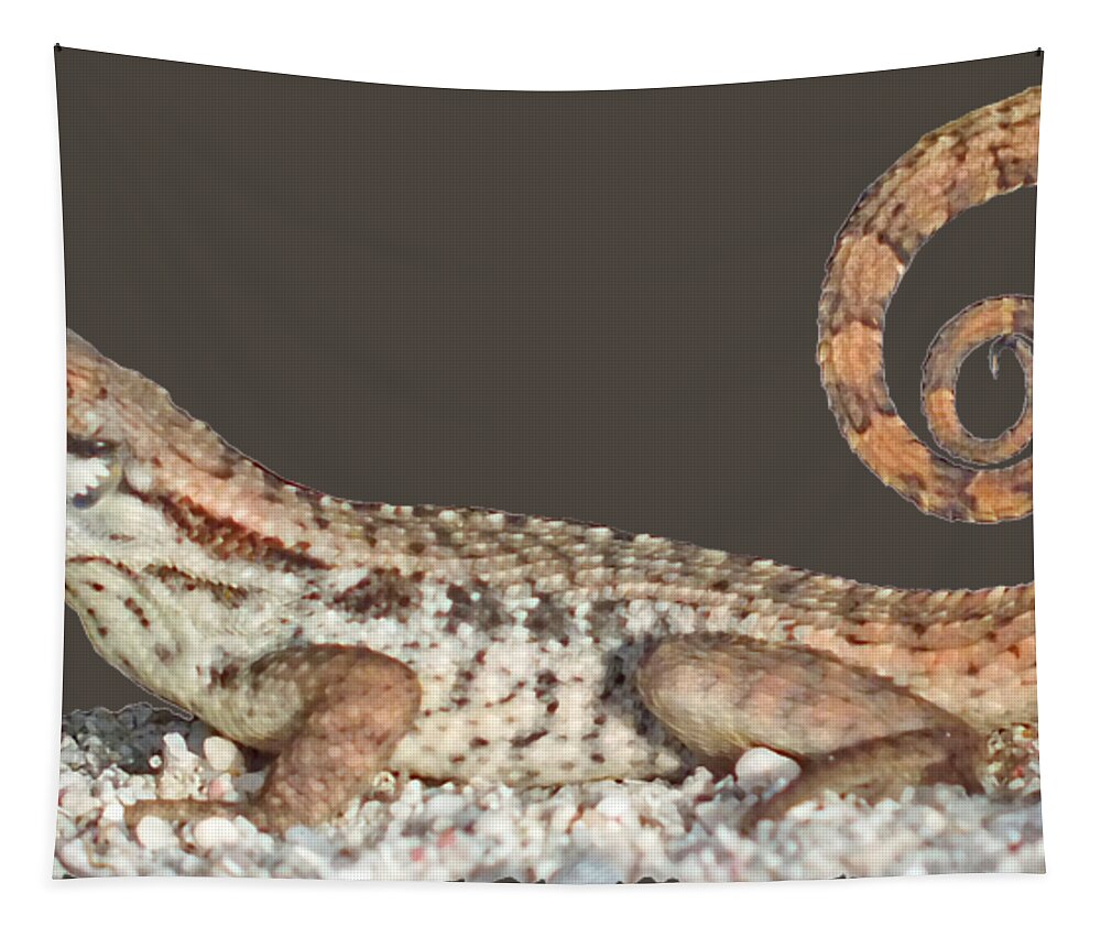 Duanekmccullough Tapestry featuring the photograph Curlytail Lizard Clear by Duane McCullough