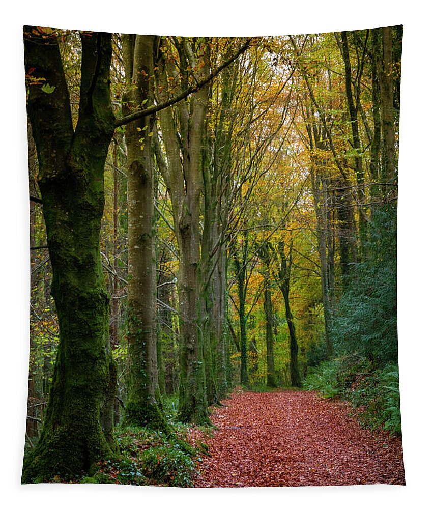 Stone Arch Tapestry featuring the photograph Curraghchase walkways by Mark Callanan