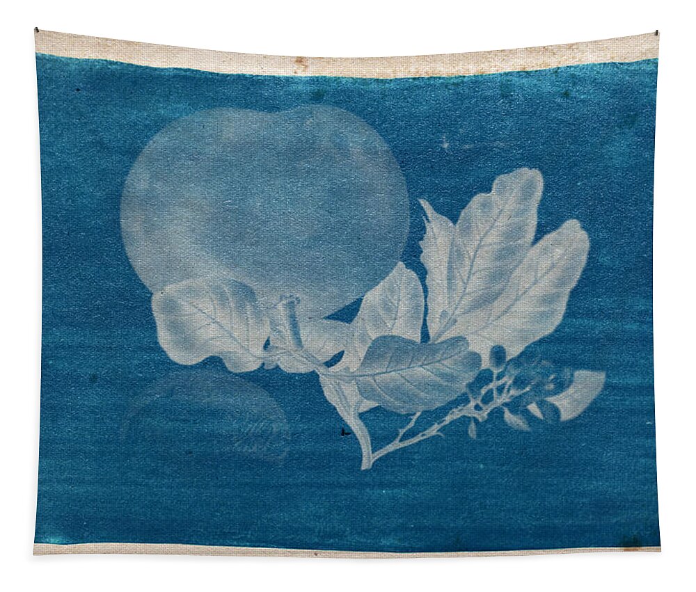 Cyanotype Photo Of A Plant - 3 Tapestry featuring the photograph Cyanotype Photo of a plant - 3 by Celestial Images