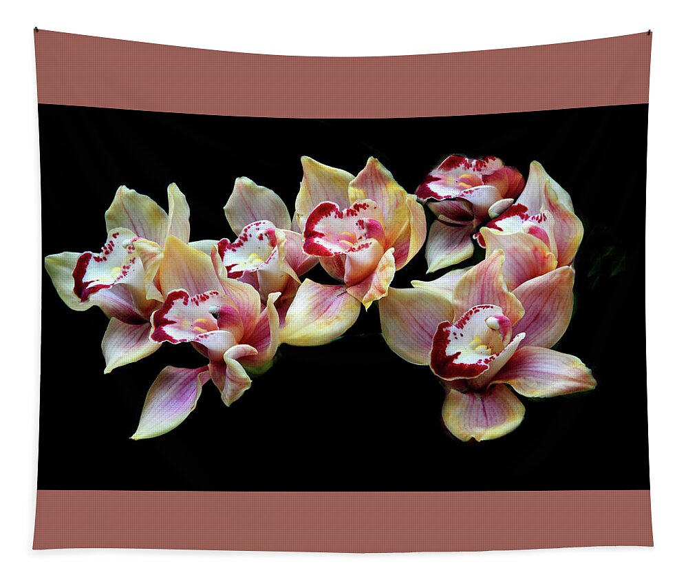 Orchids Tapestry featuring the photograph Cymbidium Delight by Jessica Jenney