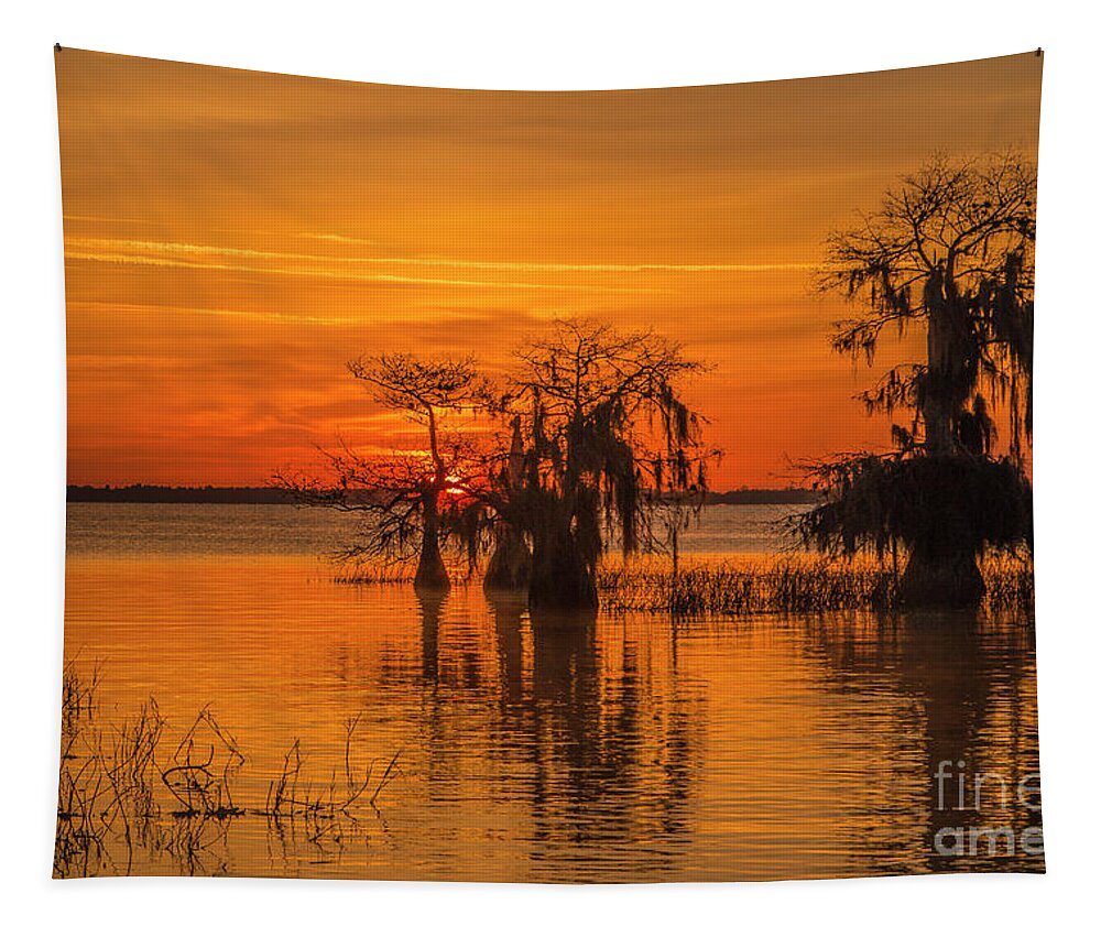 Sun Tapestry featuring the photograph Cypress Horizon Sunrise by Tom Claud